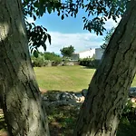 House Meli * Rakalj